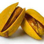 Buy Roasted Akbari Pistachios in shell salted
